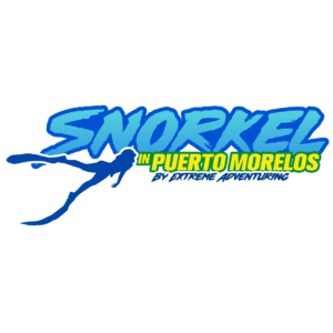 logos medida 300x300_SNORKEL PTO MORELOS